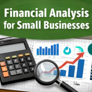 Financial Analysis for Small Businesses